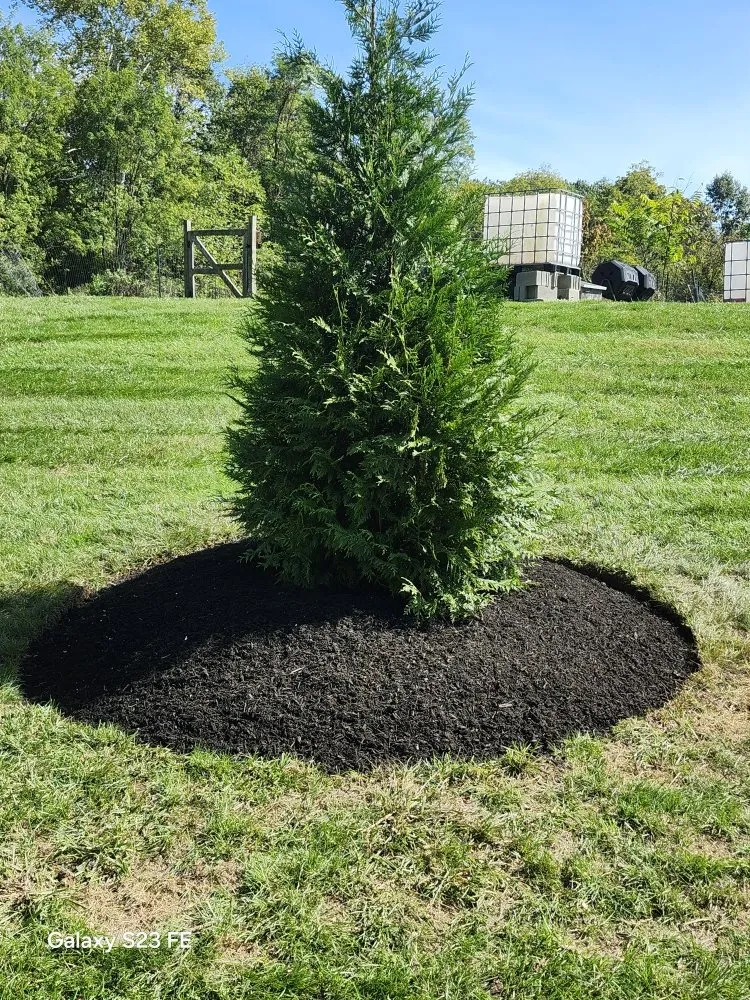 Expert yard cleanup service for beautiful yards across Sharonville, OH - Landscape expert