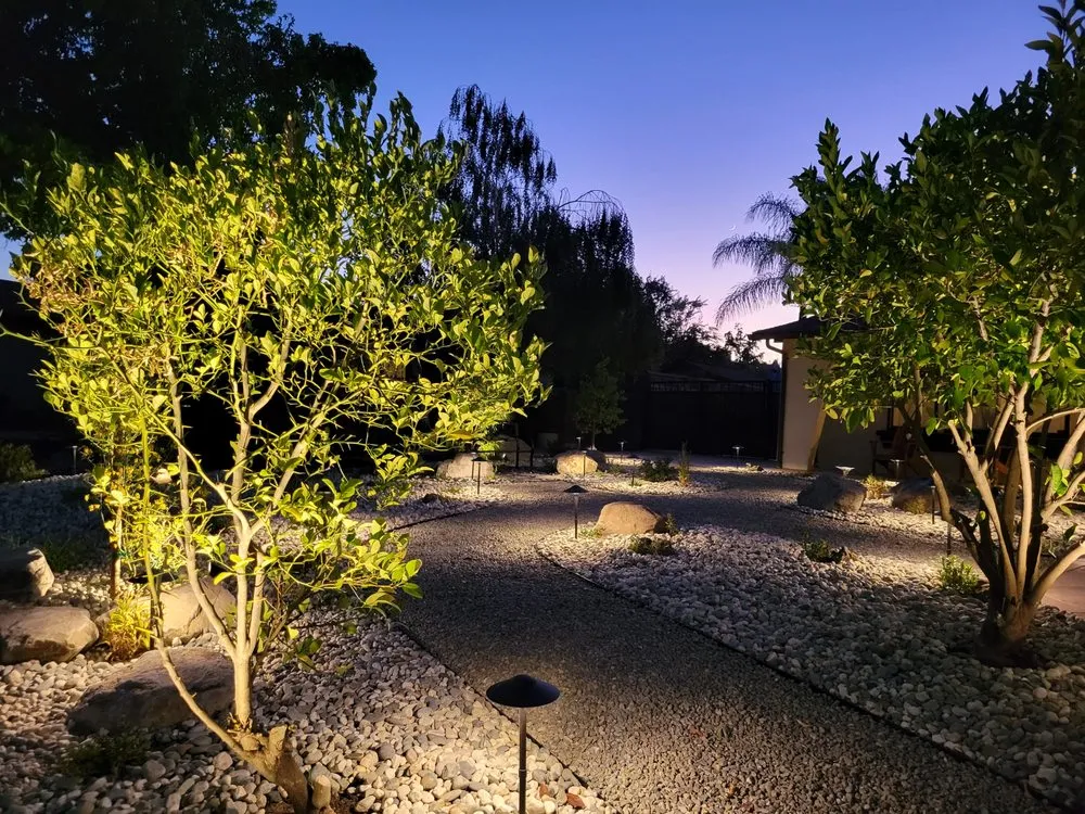 Affordable lawn care service for beautiful yards in Danville, CA by Landscape Experts