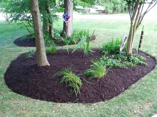 Professional lawn mowing service in Lewes, DE - Landscape Fred's