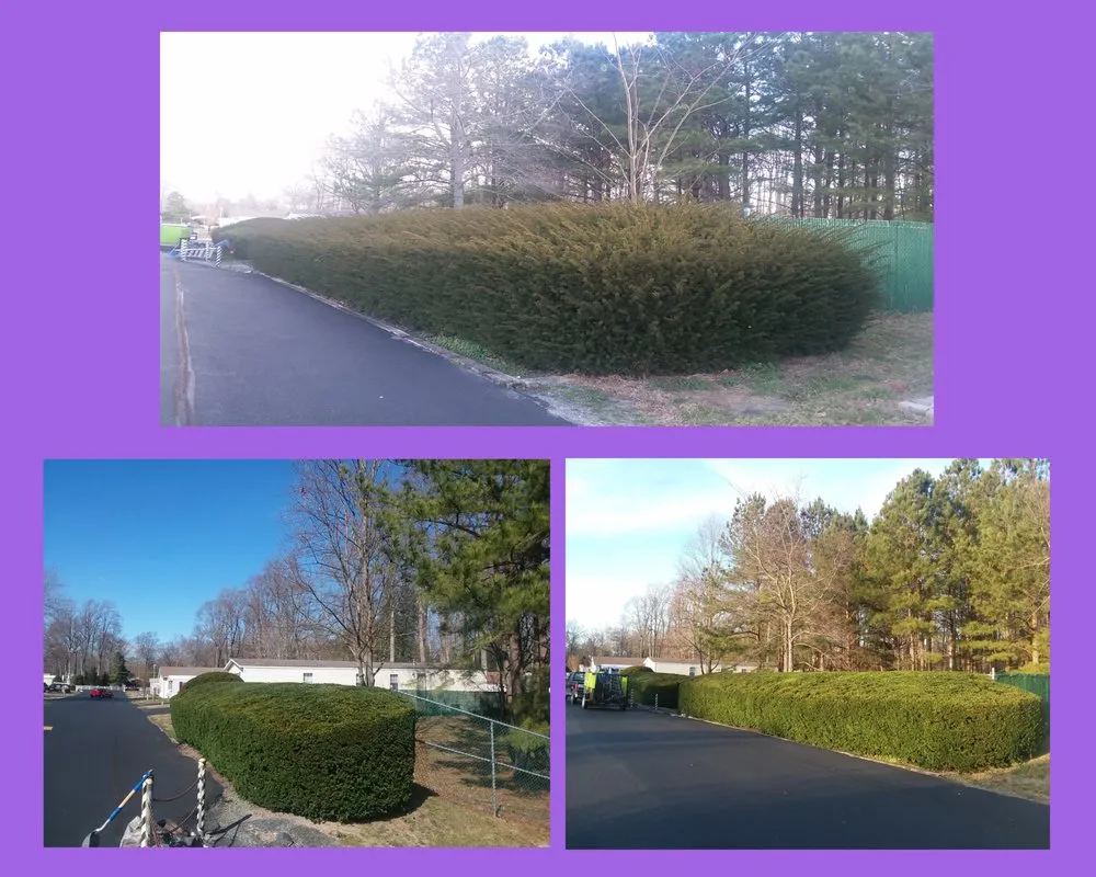 Local yard cleanup service in Lewes, DE by Landscape Fred's