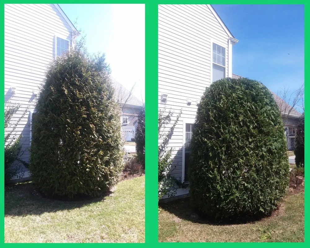 Trusted lawn mowing service for homes across Lewes, DE - Landscape Fred's