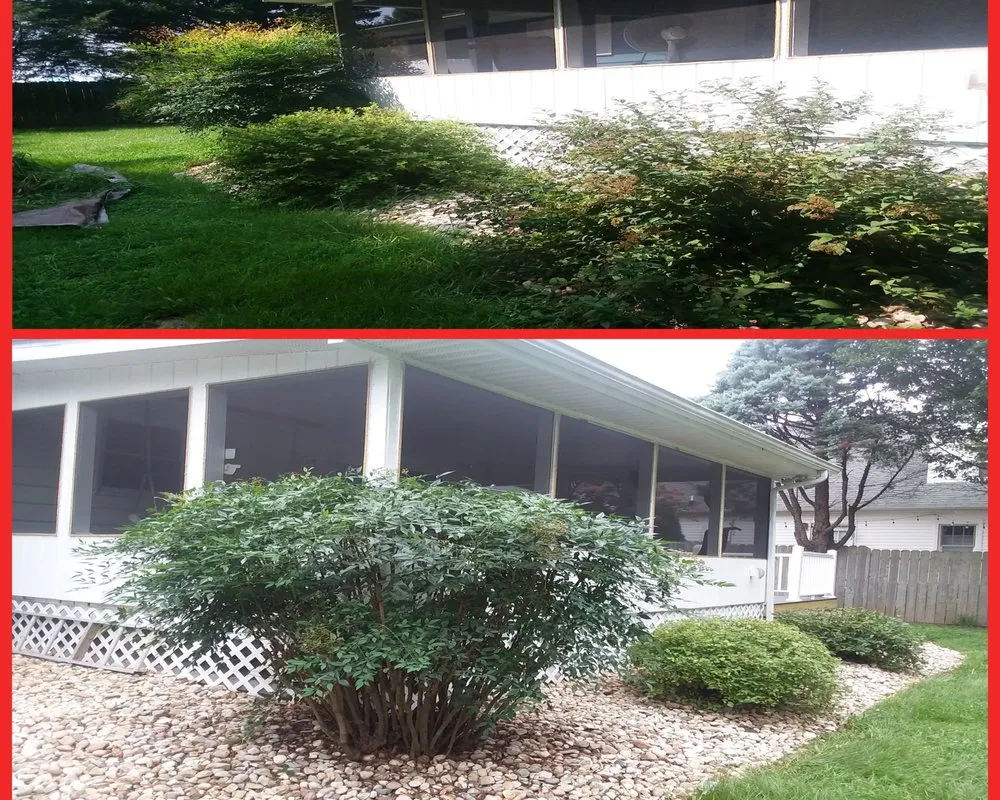 Trusted yard cleanup service near you in Lewes, DE by Landscape Fred's