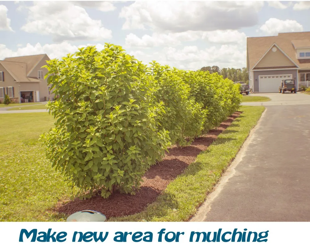 Affordable lawn mowing service experts serving Lewes, DE - Landscape Fred's