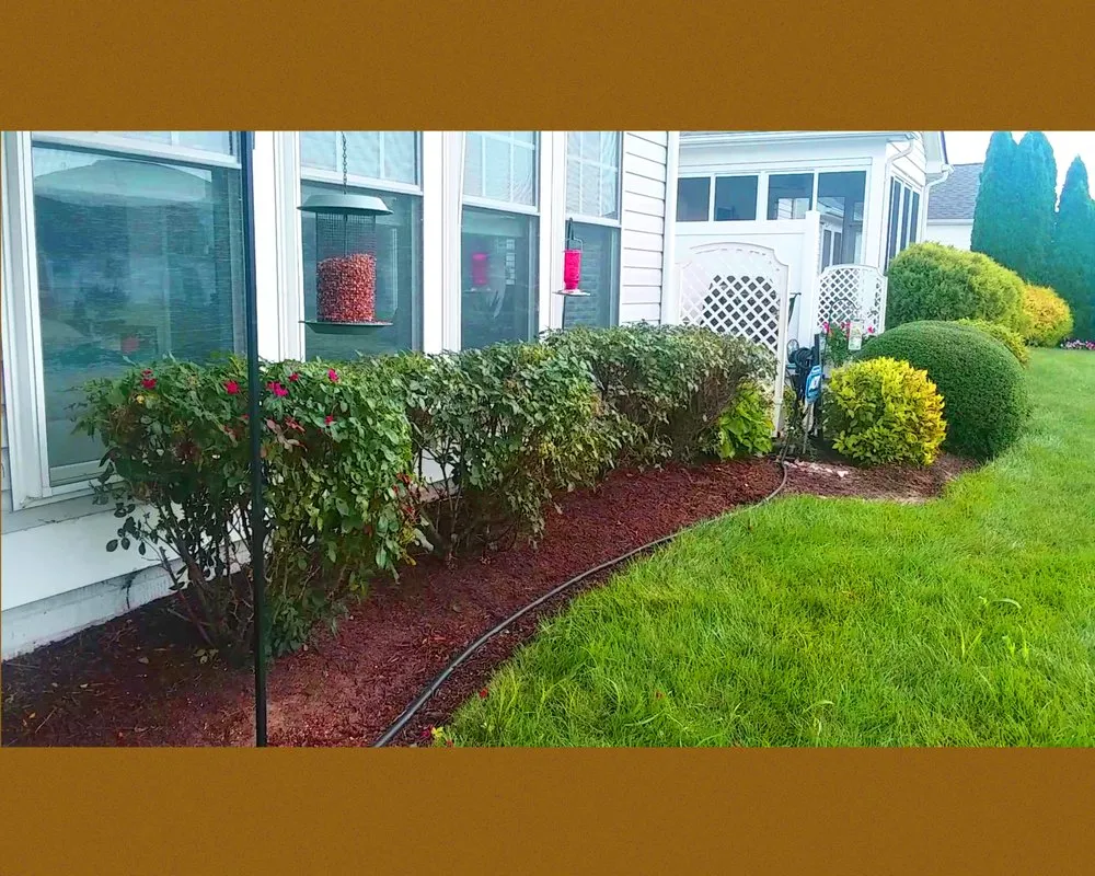 Professional yard cleanup service for beautiful yards across Lewes, DE - Landscape Fred's