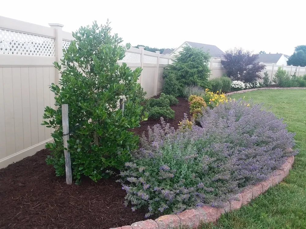 Top-rated yard cleanup service in Lewes, DE - Landscape Fred's