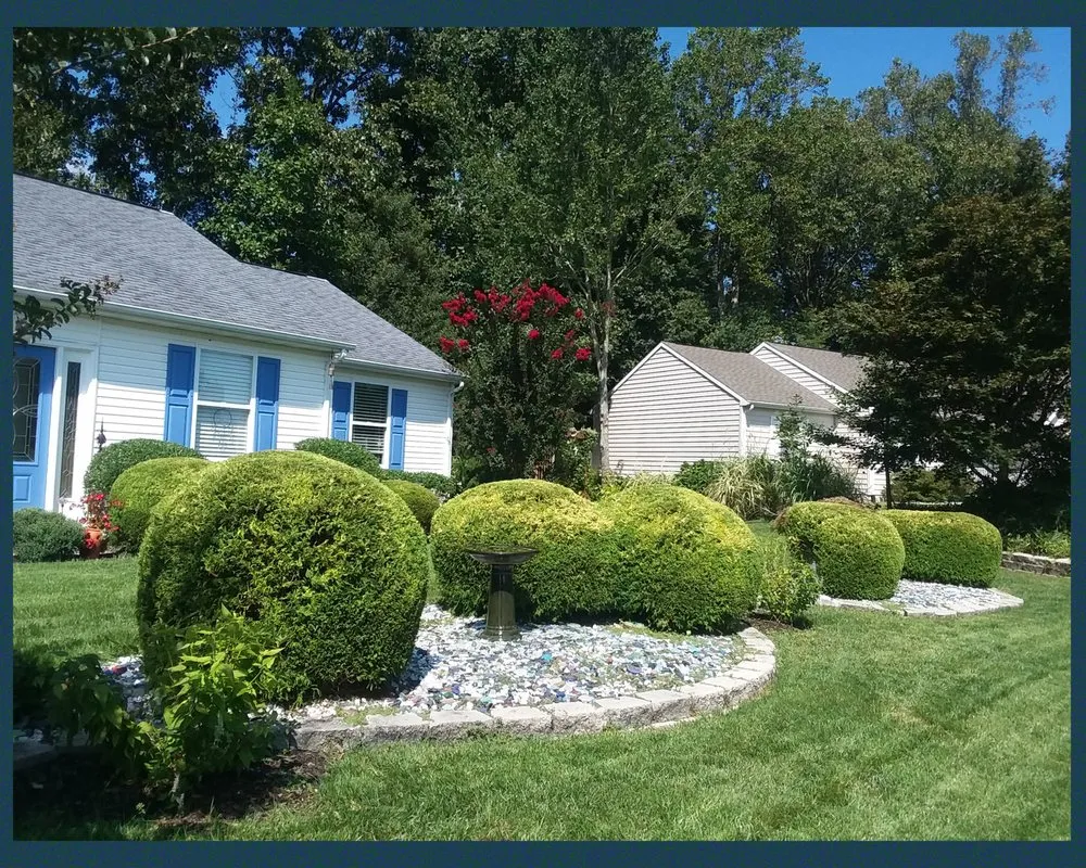 Affordable yard cleanup service experts serving Lewes, DE - Landscape Fred's