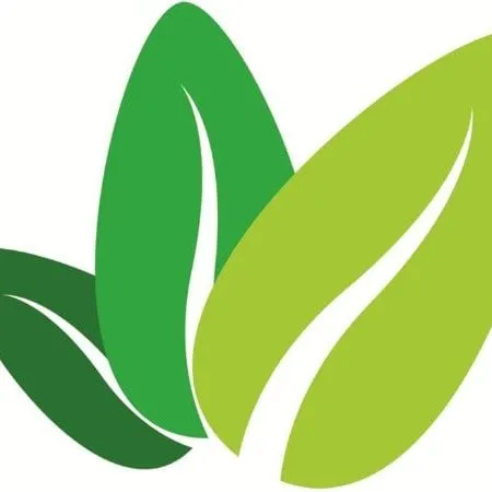 Reliable landscape installation in Tampa, FL - Landscape-Fusion