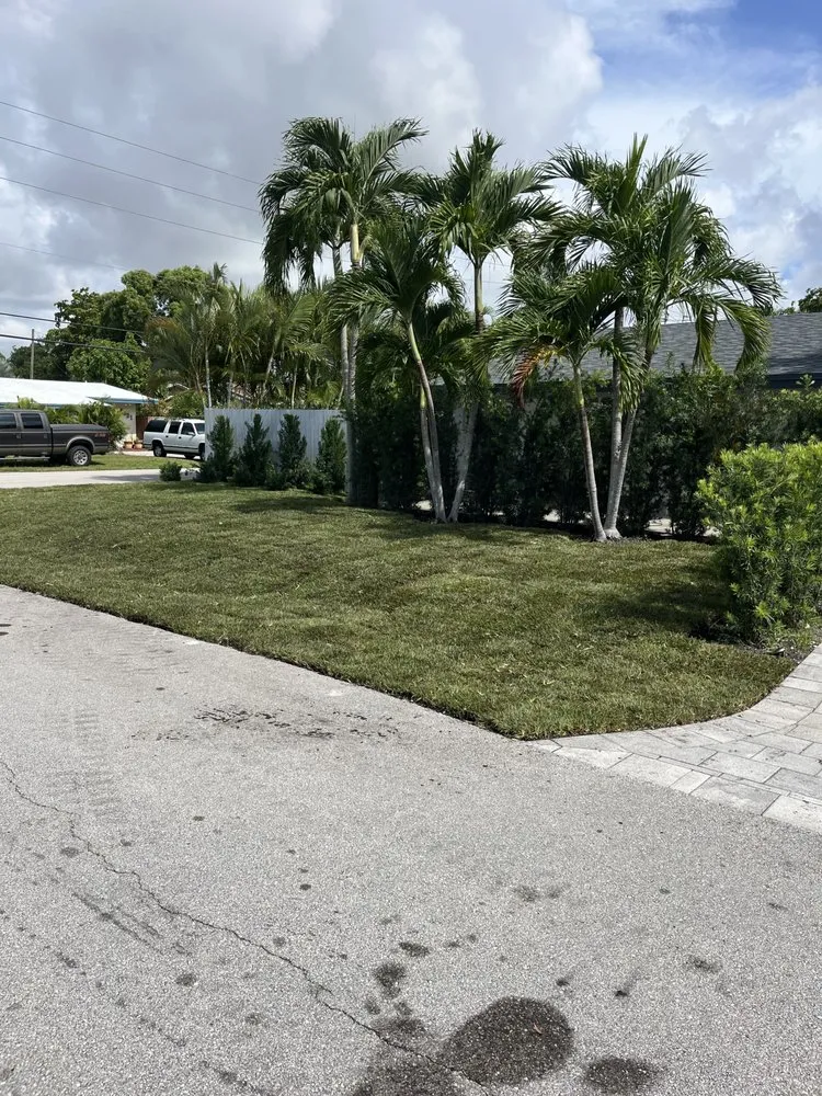 Professional landscape design in Fort Lauderdale, FL by Landscape Genie