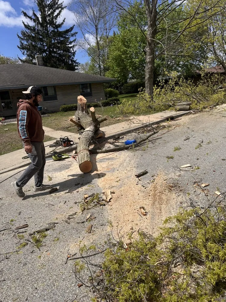 Professional landscaping services for beautiful yards in Elkhart, IN by Landscape GS