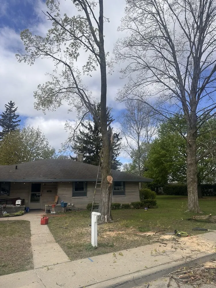 Professional landscaping services experts serving Elkhart, IN - Landscape GS