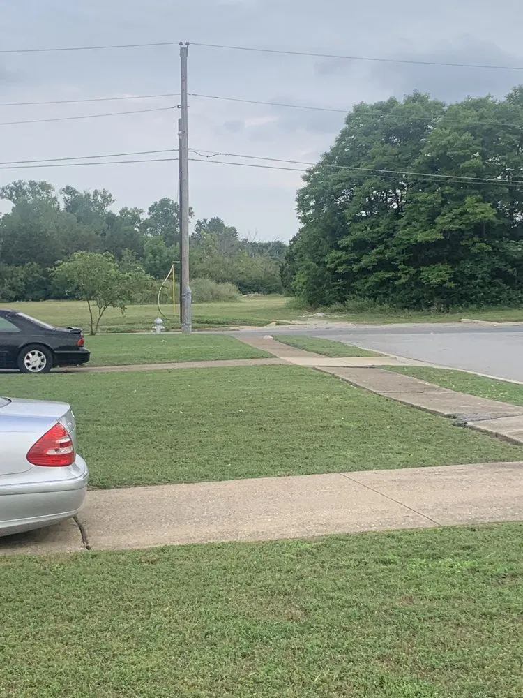 Custom outdoor landscaping for year-round maintenance across Dallas, TX - Landscape handyman ‍