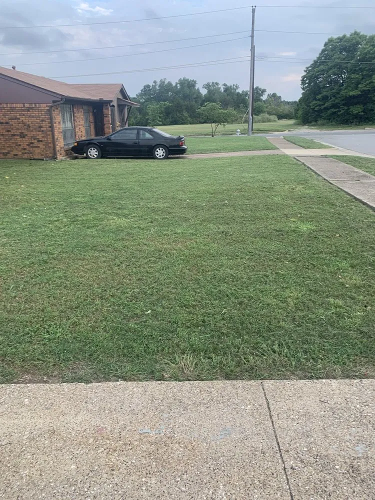 Expert garden landscaping in Dallas, TX - Landscape handyman ‍