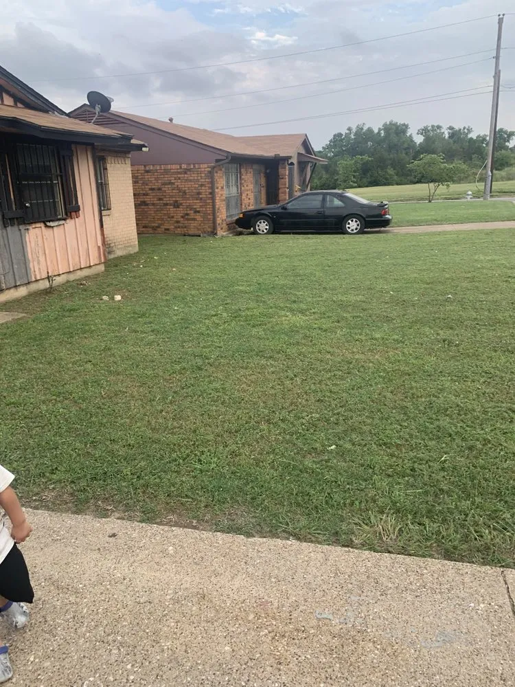 Reliable landscaping services for year-round maintenance in Dallas, TX by Landscape handyman ‍