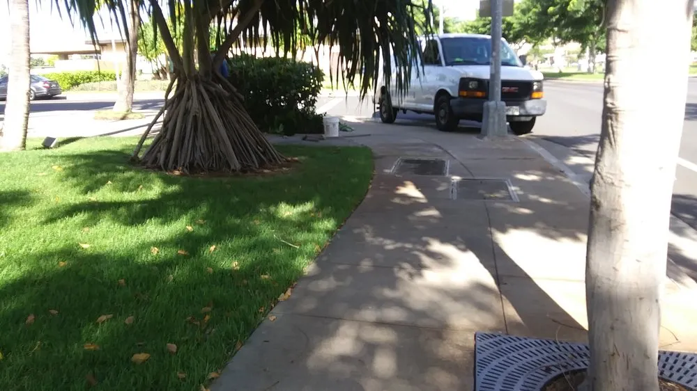 Expert yard cleanup service in Honolulu, HI - Landscape Hawaii