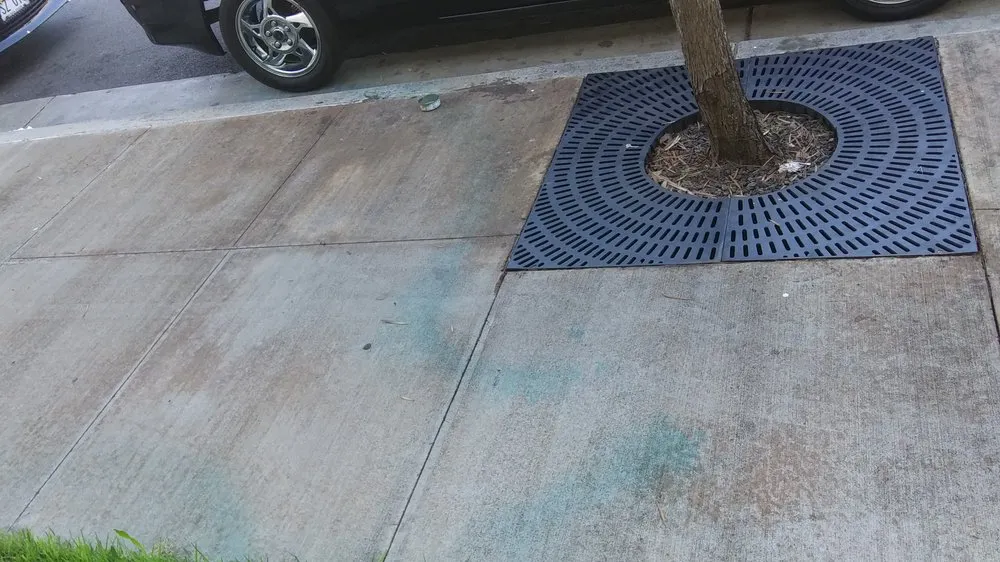 Trusted yard cleanup service for outdoor upgrades across Honolulu, HI - Landscape Hawaii