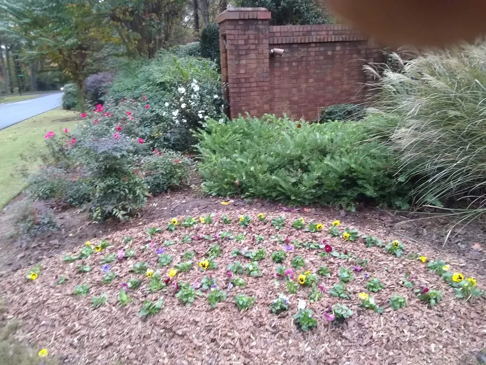 Affordable lawn care service experts serving Troy, NC - Landscape Heaven