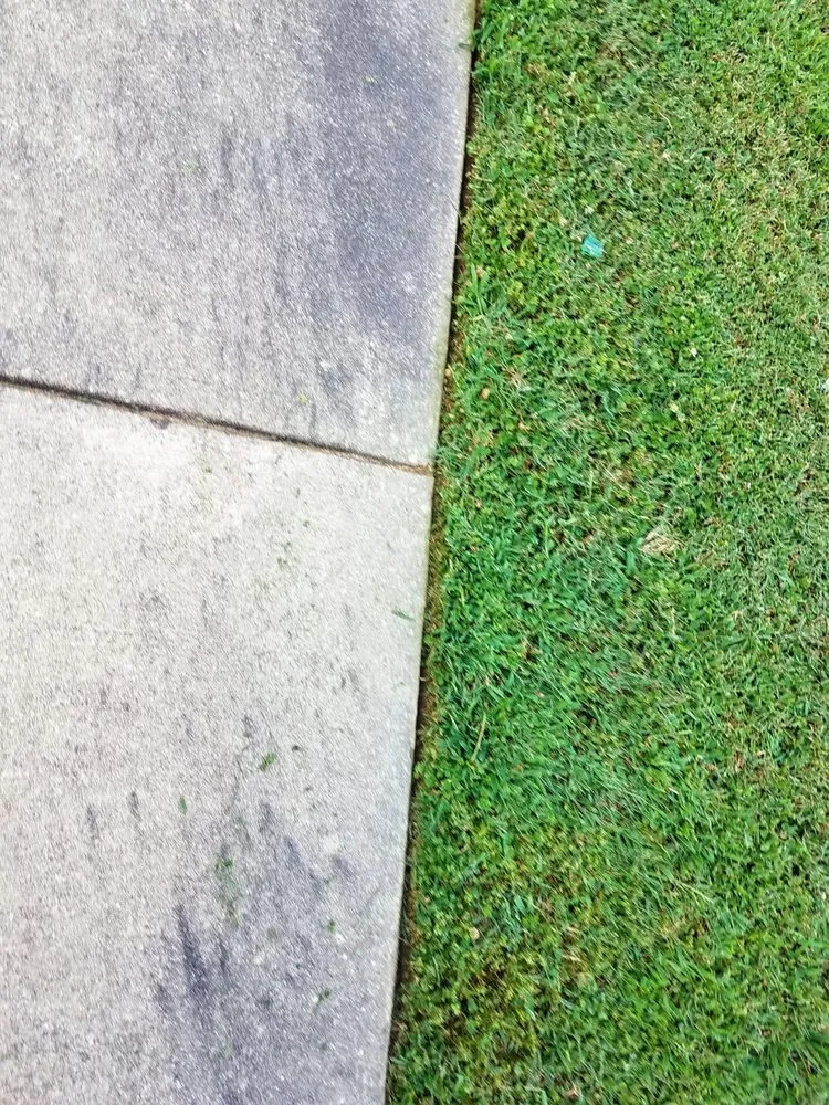 Reliable lawn mowing service in Troy, NC by Landscape Heaven