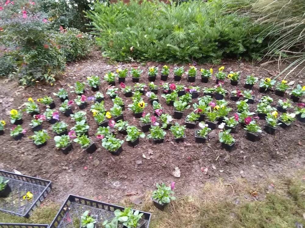 Affordable lawn care service experts serving Troy, NC - Landscape Heaven