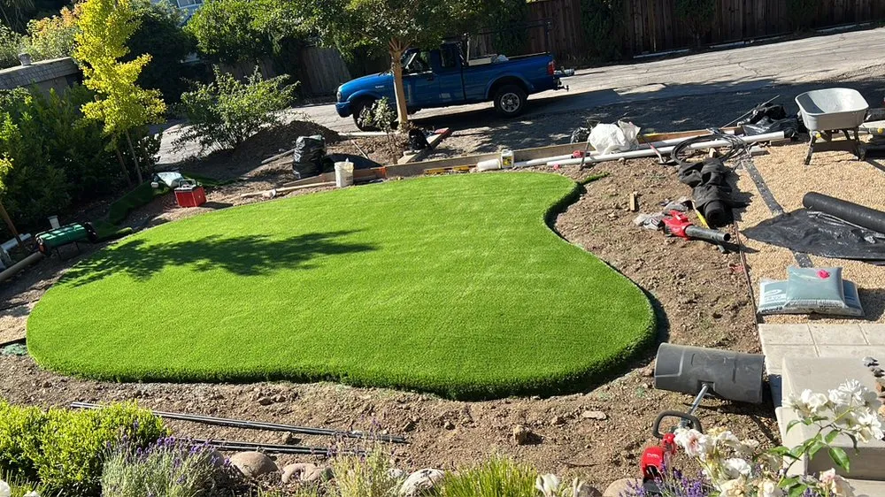 Local yard cleanup service in San Pablo, CA - Landscape Herrera