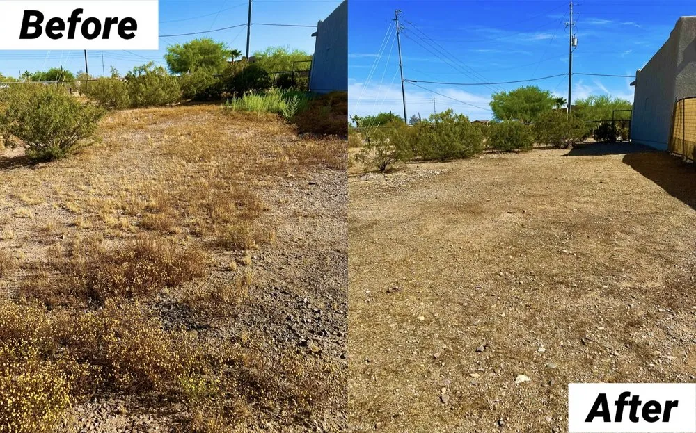 Reliable lawn mowing service with custom design in Avondale, AZ by Landscape Home Services