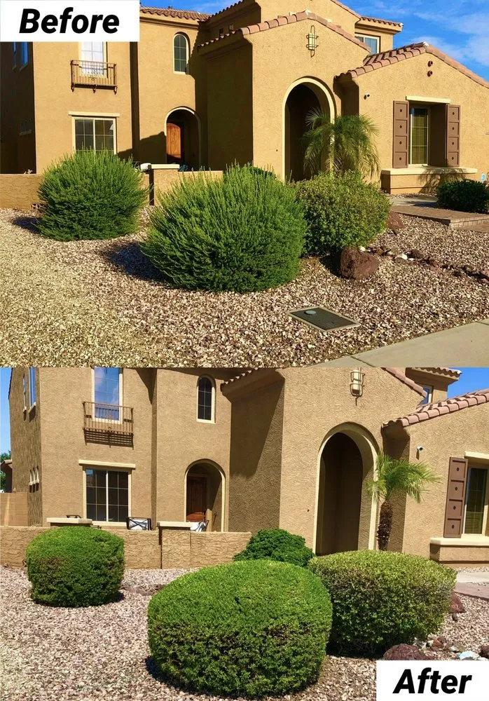Affordable outdoor landscaping in Avondale, AZ by Landscape Home Services