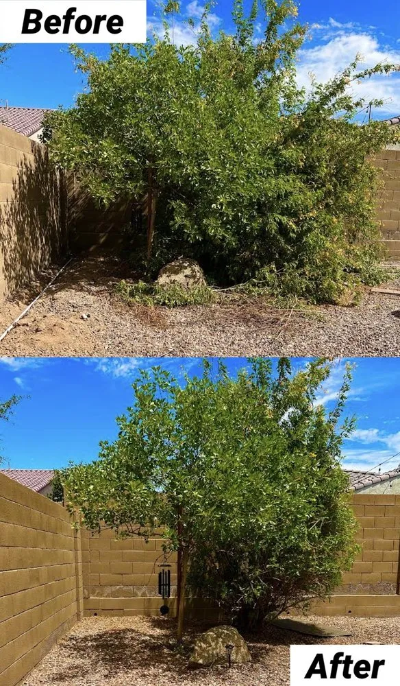 Expert lawn care service experts serving Avondale, AZ - Landscape Home Services