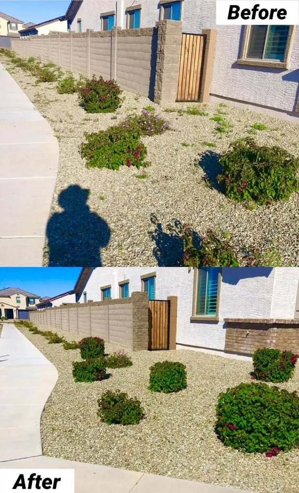 Trusted residential landscaping experts serving Avondale, AZ - Landscape Home Services