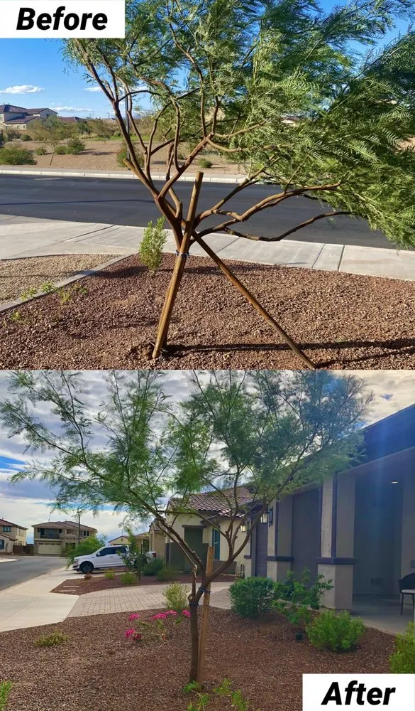 Local outdoor landscaping in Avondale, AZ by Landscape Home Services