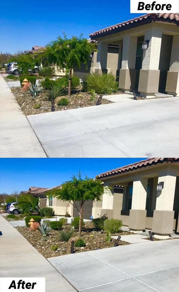 Professional yard maintenance experts serving Avondale, AZ - Landscape Home Services