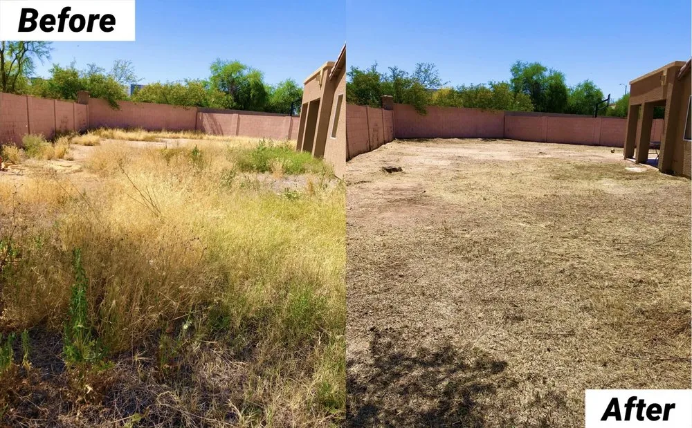 Affordable landscape installation in Avondale, AZ by Landscape Home Services