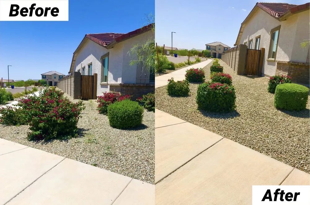 Top-rated outdoor landscaping experts serving Avondale, AZ - Landscape Home Services