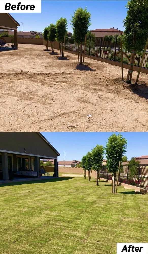 Expert residential landscaping experts serving Avondale, AZ - Landscape Home Services