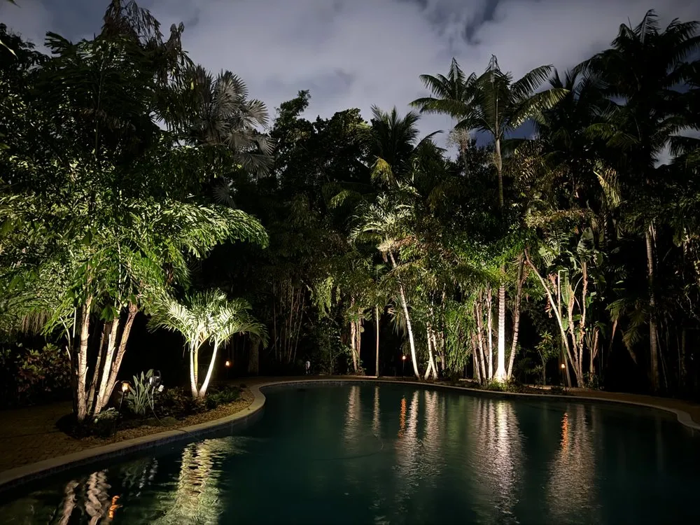 Affordable landscape installation in West Palm Beach, FL by Landscape Illumination Specialists