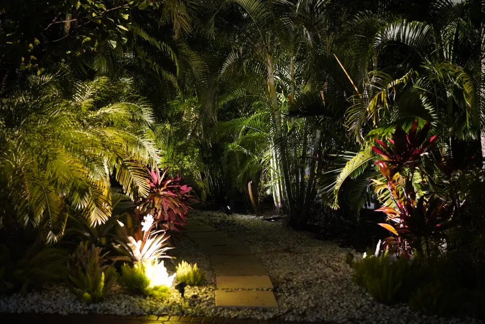 Professional yard maintenance in West Palm Beach, FL - Landscape Illumination Specialists