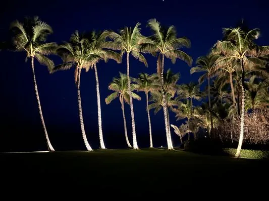 Landscape Illumination Specialists