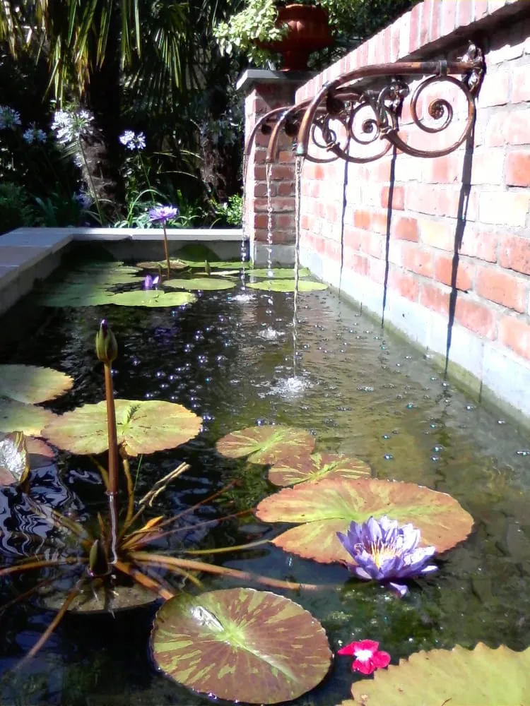 Custom lawn mowing service for year-round maintenance across New Orleans, LA - Landscape Images