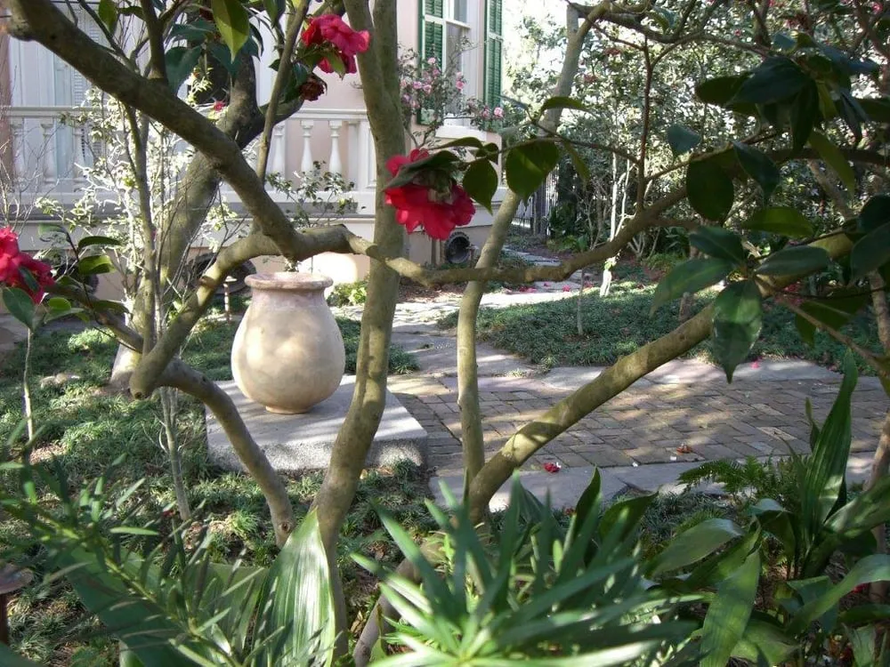 Custom landscape design for outdoor upgrades across New Orleans, LA - Landscape Images