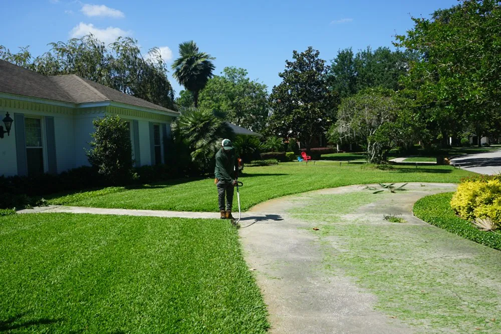 Trusted yard cleanup service in Orlando, FL by Landscape Improvements