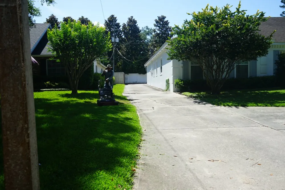 Expert garden landscaping for homes in Orlando, FL by Landscape Improvements