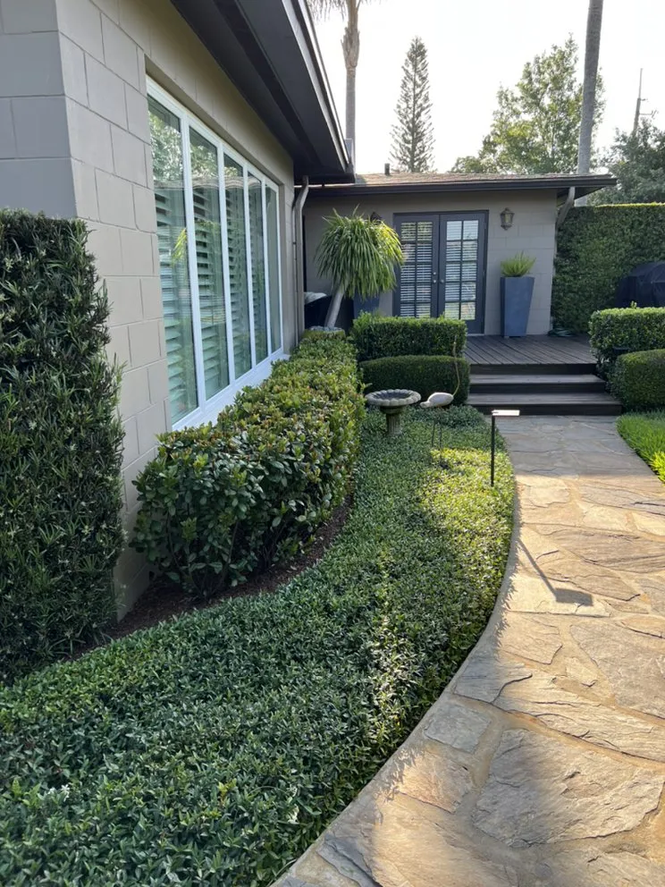 Expert yard cleanup service experts serving Orlando, FL - Landscape Improvements