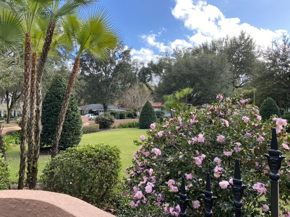 Reliable yard cleanup service in Orlando, FL by Landscape Improvements