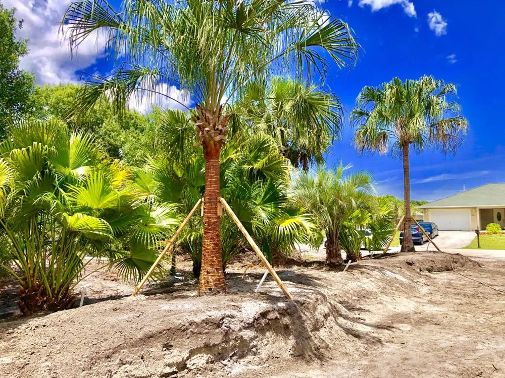 Expert yard cleanup service for beautiful yards in Okeechobee, FL by Landscape Innovations and Landworks