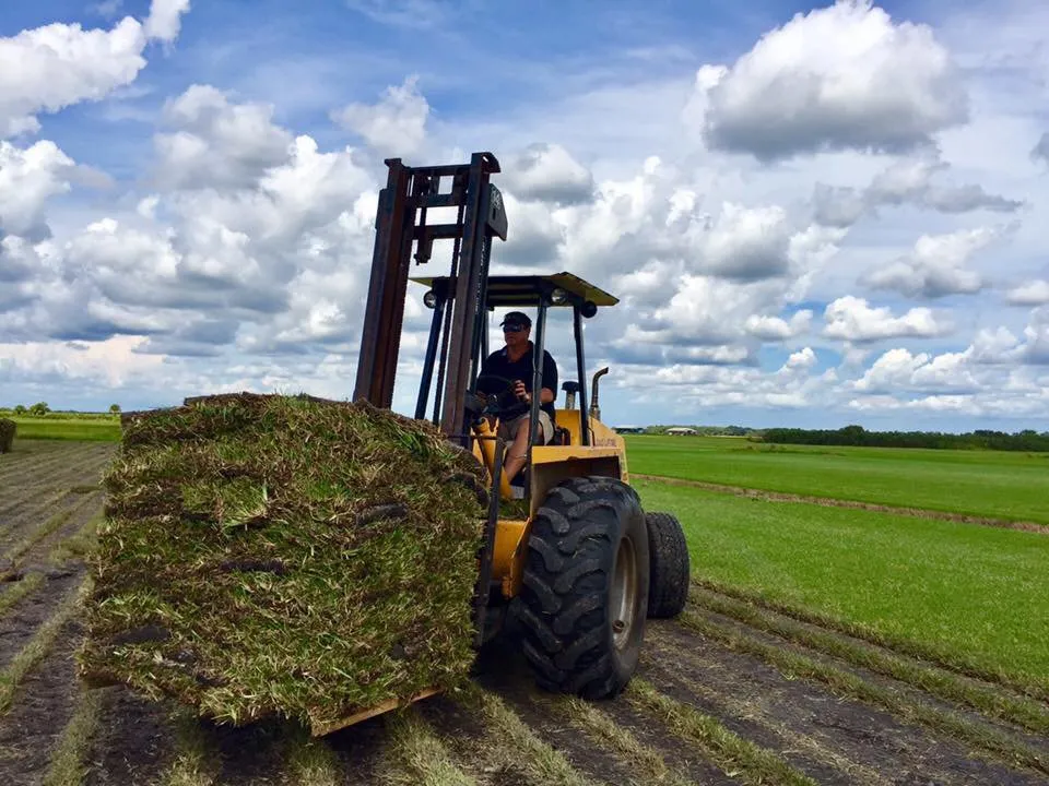 Top-rated outdoor landscaping in Okeechobee, FL by Landscape Innovations and Landworks
