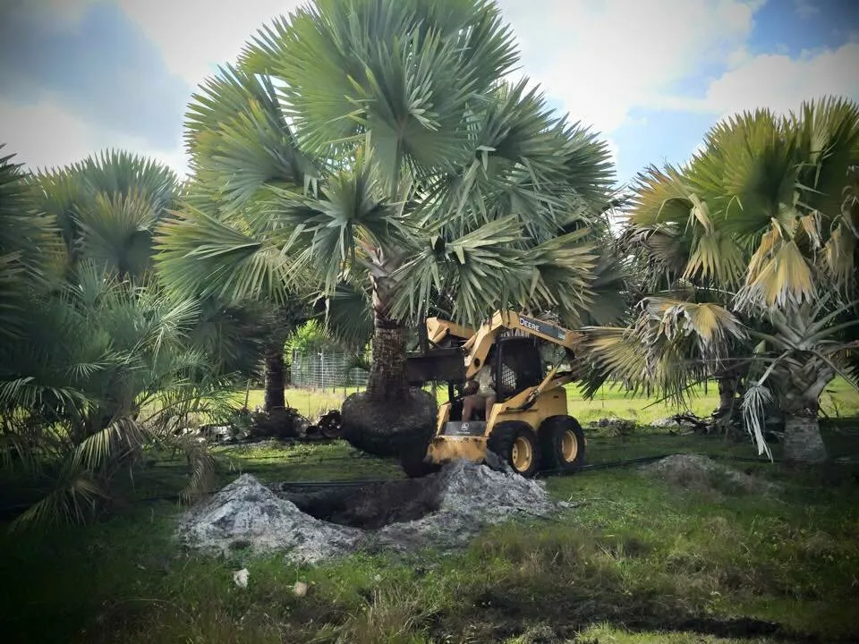 Affordable yard cleanup service experts serving Okeechobee, FL - Landscape Innovations and Landworks