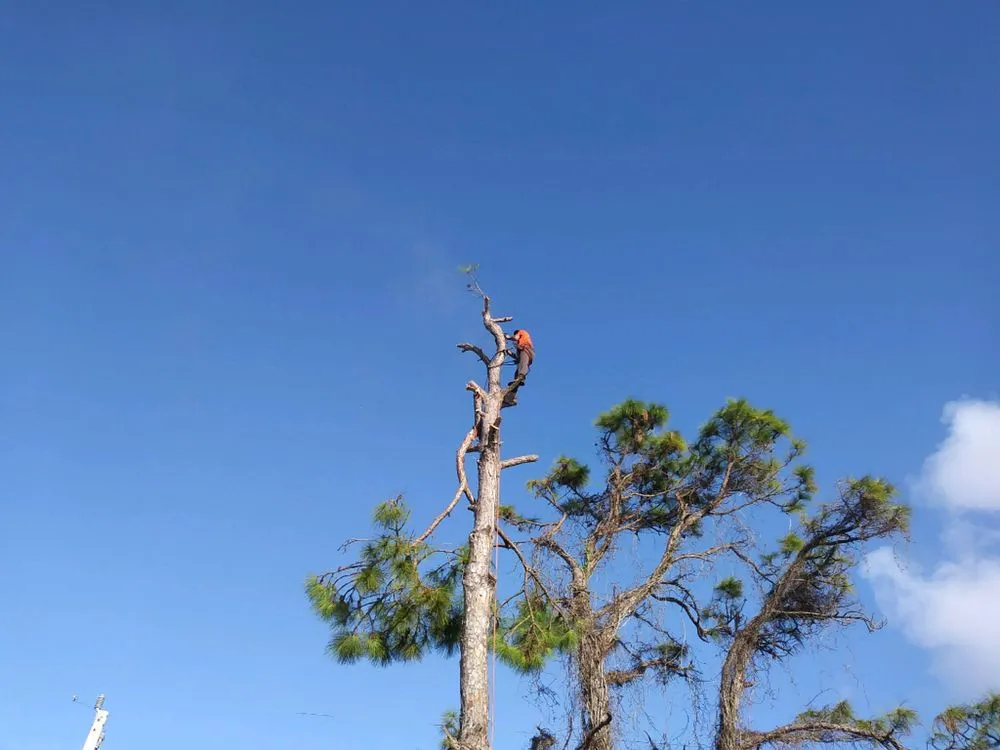 Reliable outdoor landscaping experts serving Okeechobee, FL - Landscape Innovations and Landworks