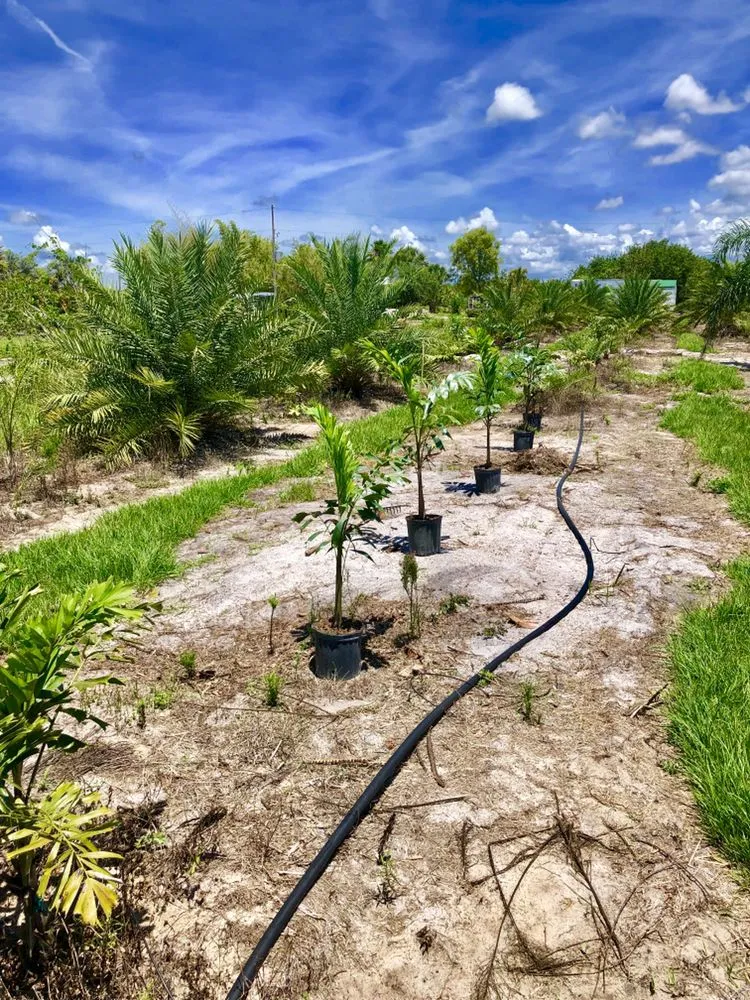 Expert lawn mowing service in Okeechobee, FL - Landscape Innovations and Landworks