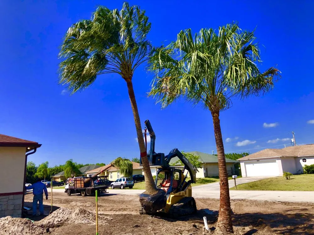 Professional yard maintenance in Okeechobee, FL by Landscape Innovations and Landworks