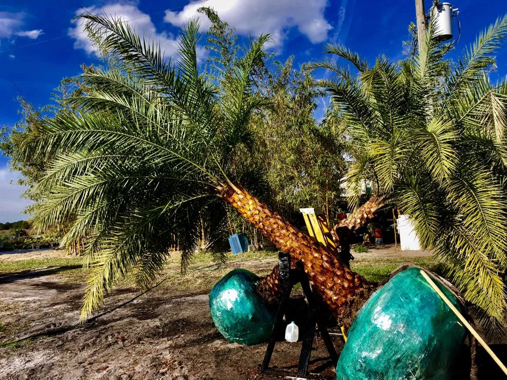 Top-rated landscaping services for homes across Okeechobee, FL - Landscape Innovations and Landworks