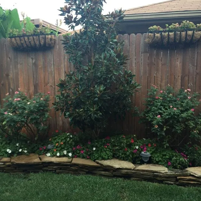 Local yard cleanup service for outdoor upgrades across Hickory Creek, TX - Landscape Innovations