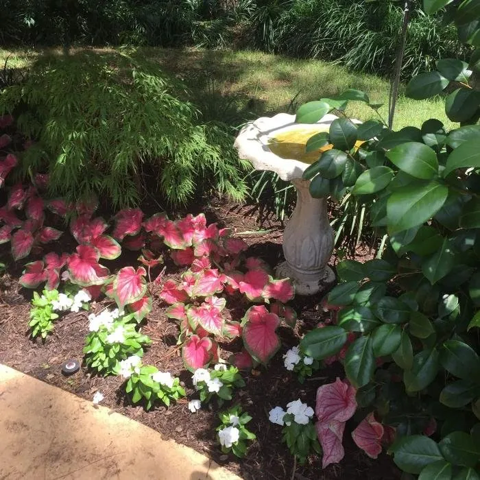 Top-rated landscape design in Hickory Creek, TX by Landscape Innovations